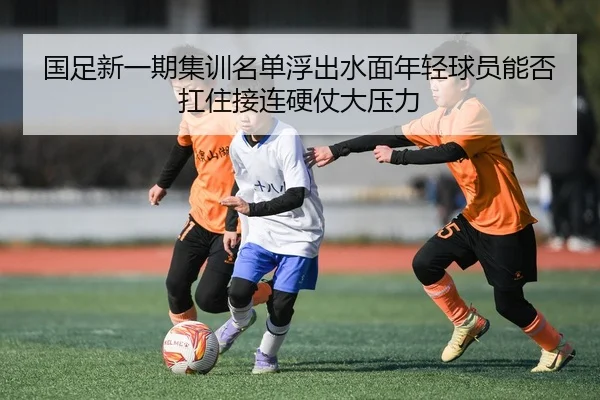 img_1781111356772_221_2_661.jpg